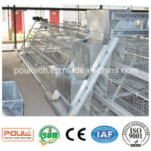 Best Price Galvanized Pullet Cages for Small Chicks